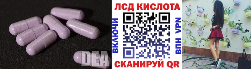 дарнет шоп  Талица  ЛСД экстази ecstasy 